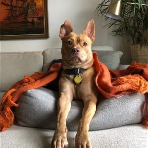 Meet your Posher, Joseph